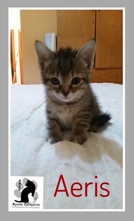 AERIS