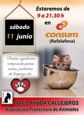 Stand en Consum Rafalafena
