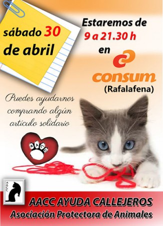 Stand Consum Rafalafena