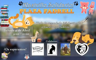 Rastrillo solidario