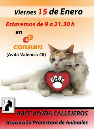 Stand en Consum Avenida Valencia