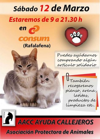 Stand en Consum Rafalafena