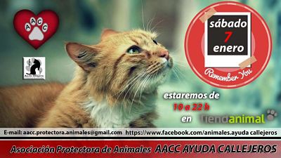 Stand en Tiendanimal