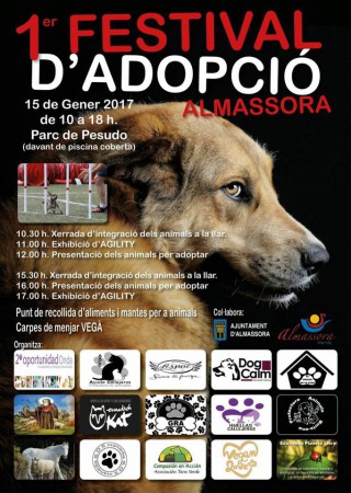 Primer festival d'adopció en Almassora