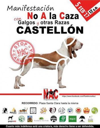 Manifestacion "No a la caza"