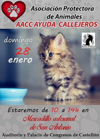 Mercadillo artesanal de San Antonio