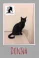 Donna
