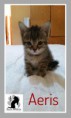 AERIS