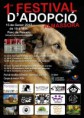 Primer festival d'adopció en Almassora