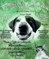 Tercera Edición Festival de la adopción